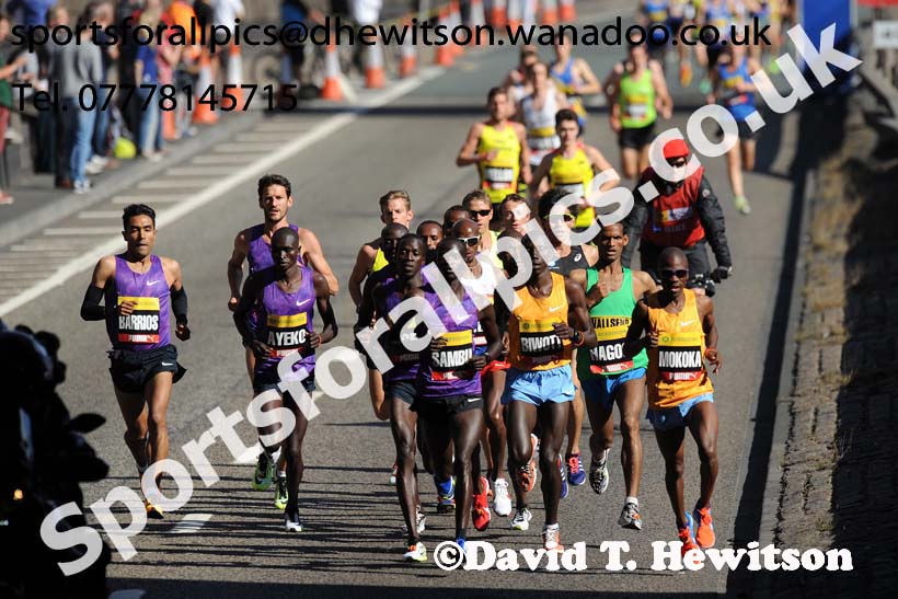 Mens Morrisons Great North Run. Photo: David T. Hewitson/Sports for All Pics